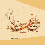 در کوچه باغ بیرجند